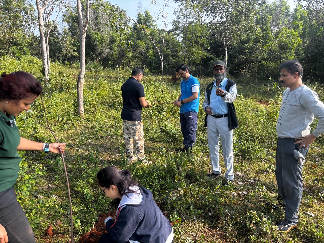 Tree Plantation Drive by Giridham Foundation – Environmental Conservation Initiative