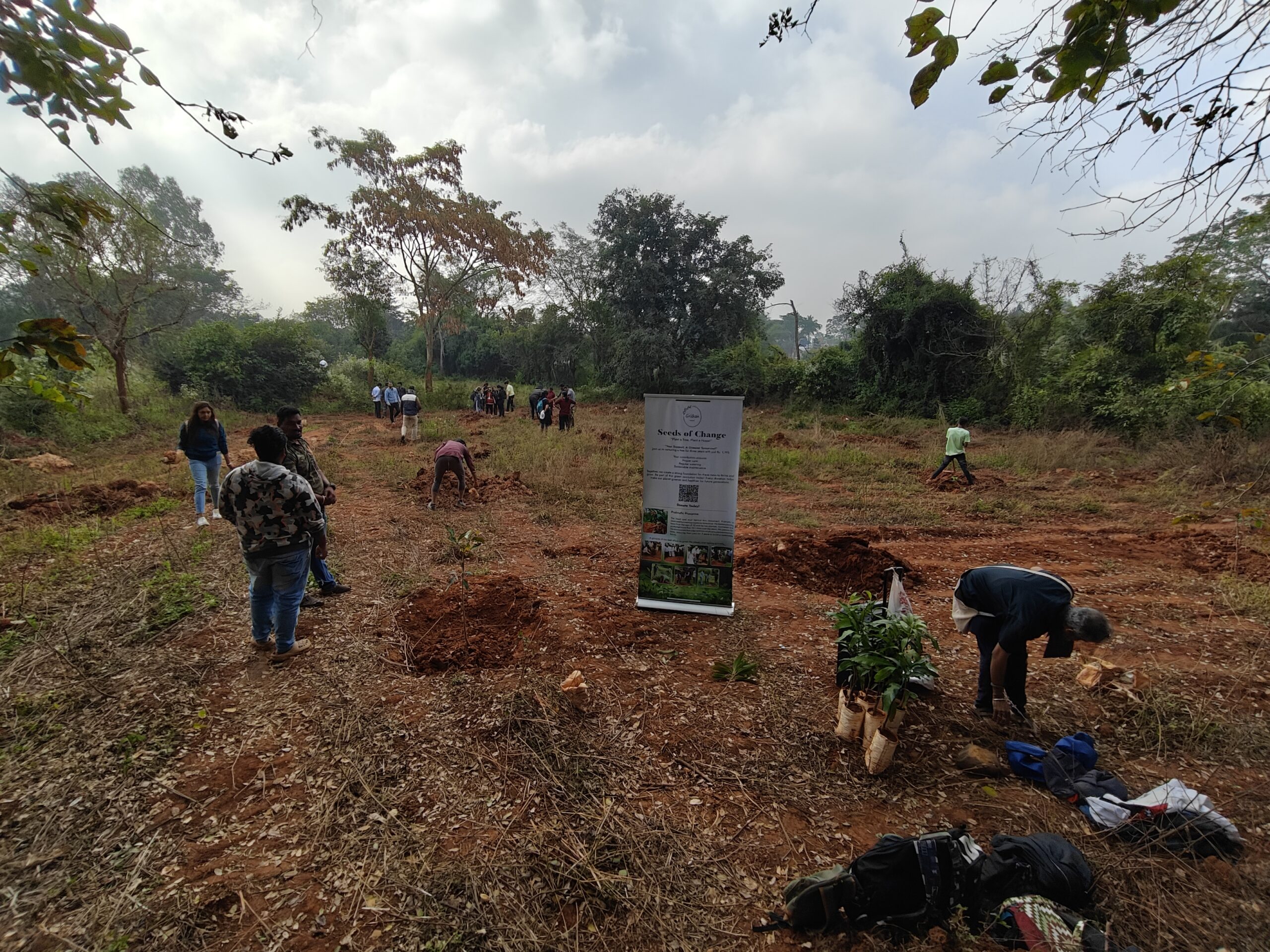Volunteers planting saplings during Seeds of Change environmental restoration event